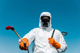 Best Bee and Wasp Removal  in Dagsboro, DE